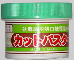 Mastic p&acirc;te 160 Gr