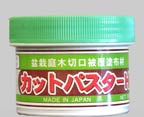 Mastic en pâte 160 g