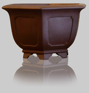 Pots demie cascade octo brut