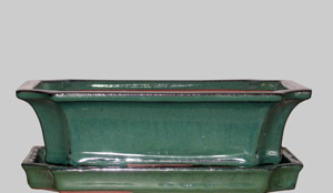 Pot rectangle vert avec soucoupe